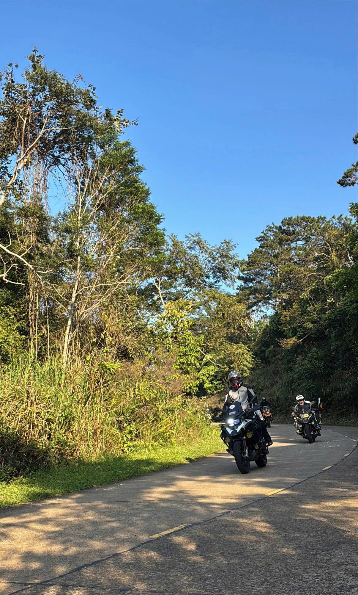 Riders coming round a sunny bend in the highland forest